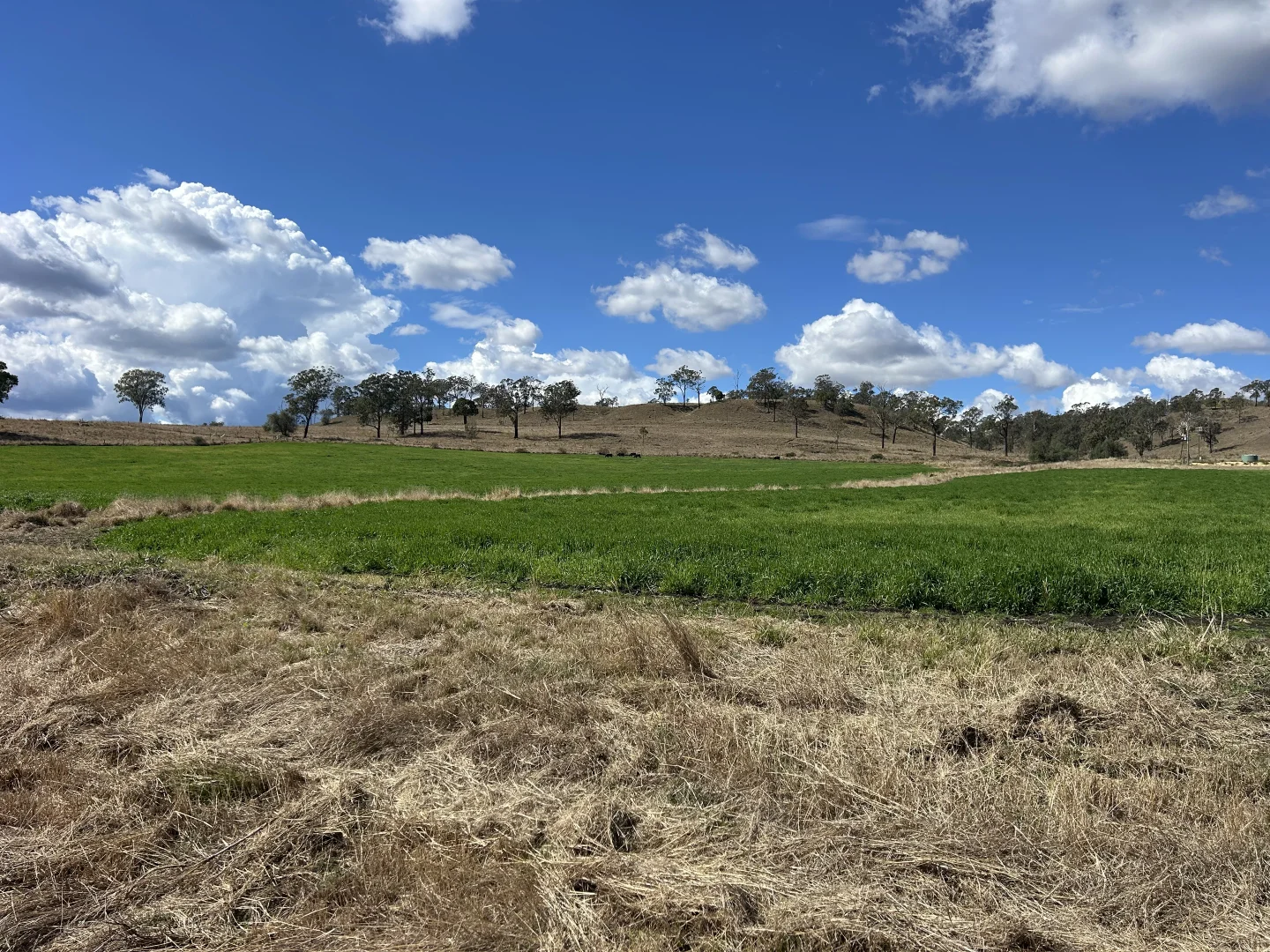 Additional image 27 of 231 Dascombe Road, Coalbank QLD 4352