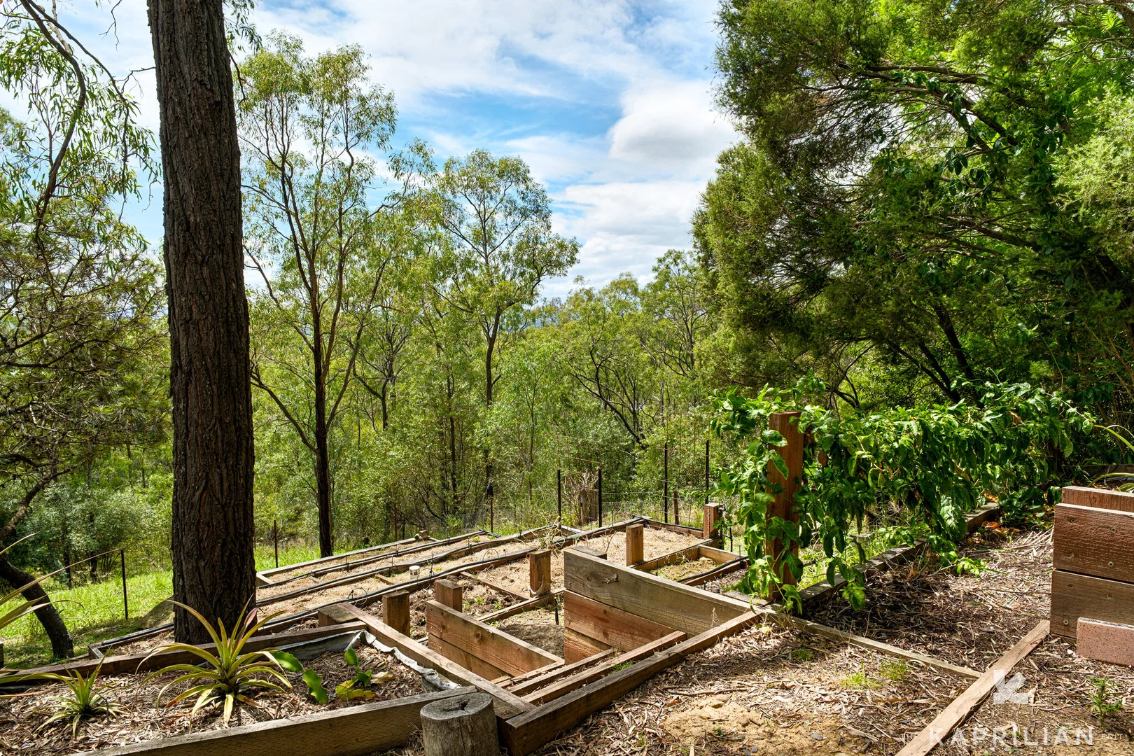 Additional image 23 of 91 Hambledon Hill Road, Gowrie NSW 2330