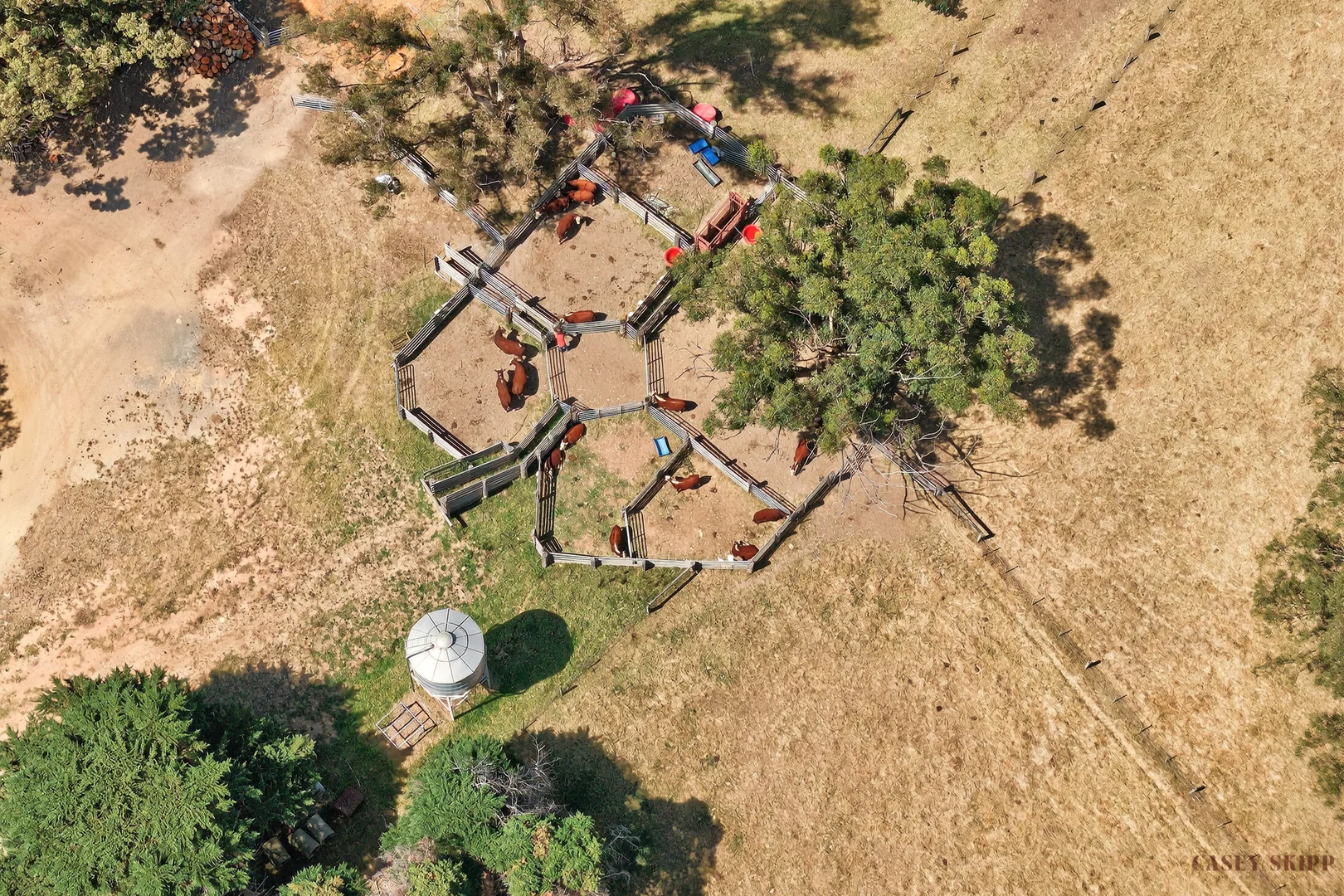 Additional image 9 of 2/440 Nicholson-Sarsfield Road, Sarsfield VIC 3875