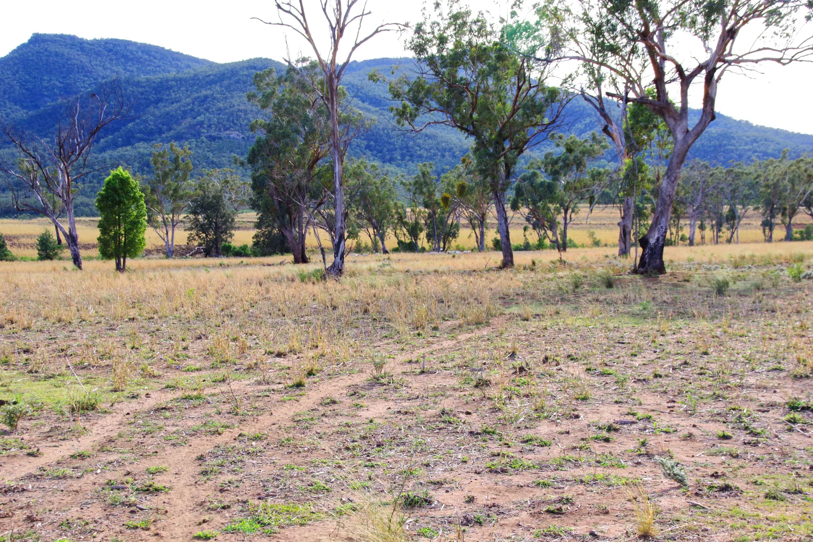 Additional image 7 of 2381. Killarney Gap Road, Narrabri NSW 2390