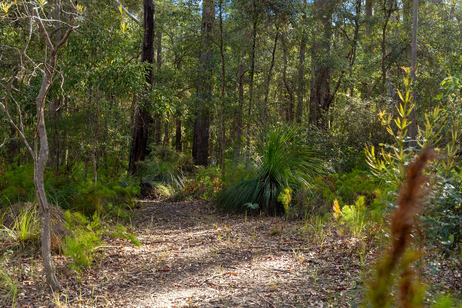 Additional image 15 of 40 Lakewood Drive, Peregian Beach QLD 4573