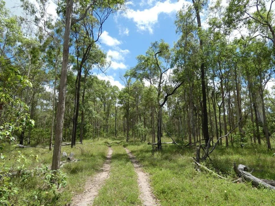 Additional image 25 of 277 Bushlands Road, Bororen QLD 4678