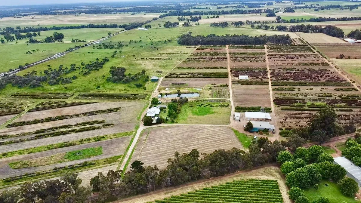 Additional image 40 of 915 Kaloorup Road, Kaloorup WA 6280