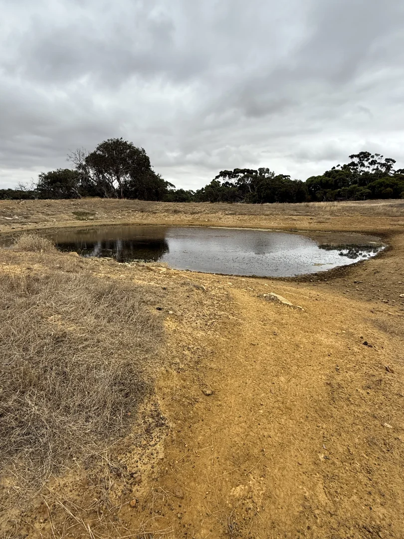 Additional image 9 of 490 East West Two Highway, Seddon SA 5223