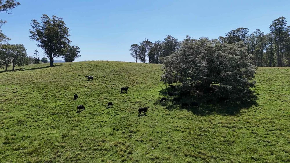 Additional image 2 of 2/310 Yessabah Rd, Yessabah NSW 2440