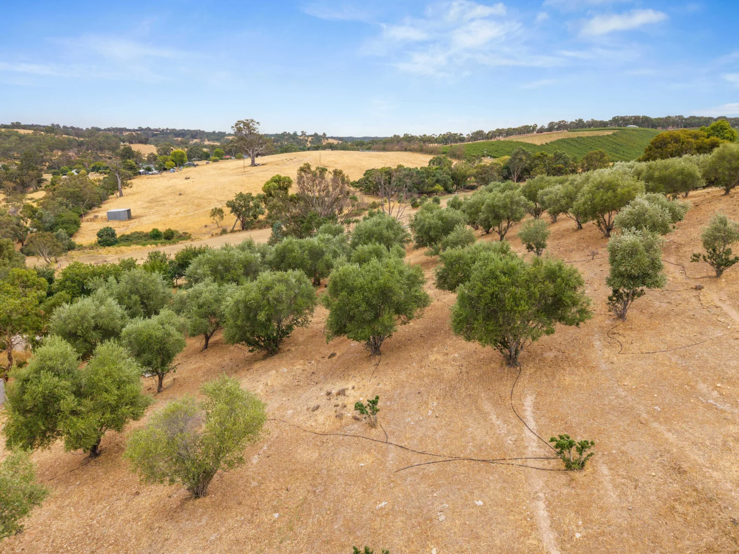 Additional image 14 of 226 Forreston Road, Forreston SA 5233