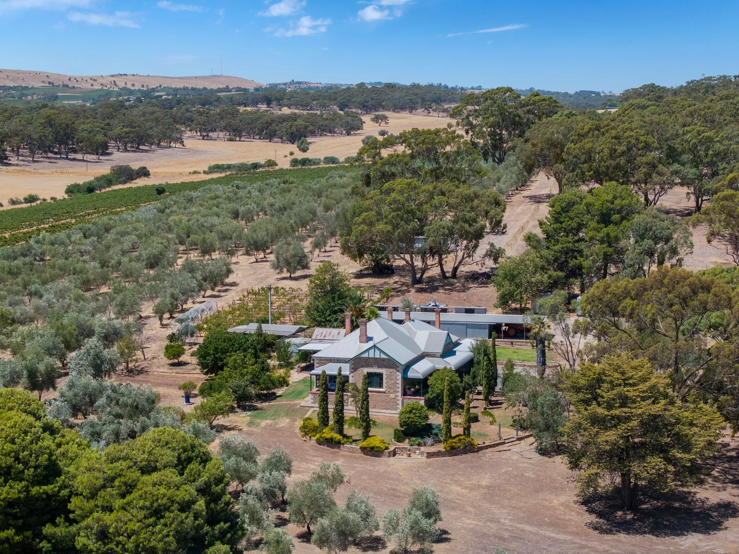 Additional image 34 of 134 Farrell Flat Road, Clare SA 5453