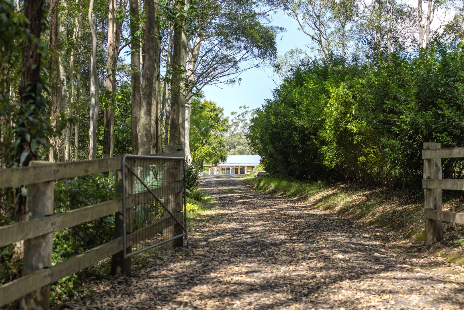 Additional image 19 of 1195 Illaroo Road, Tapitallee NSW 2540