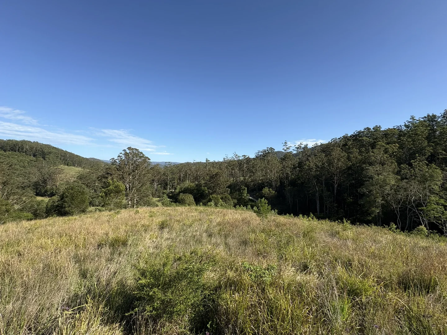 Additional image 5 of 211, 212 Robinson Road, Marlee NSW 2429