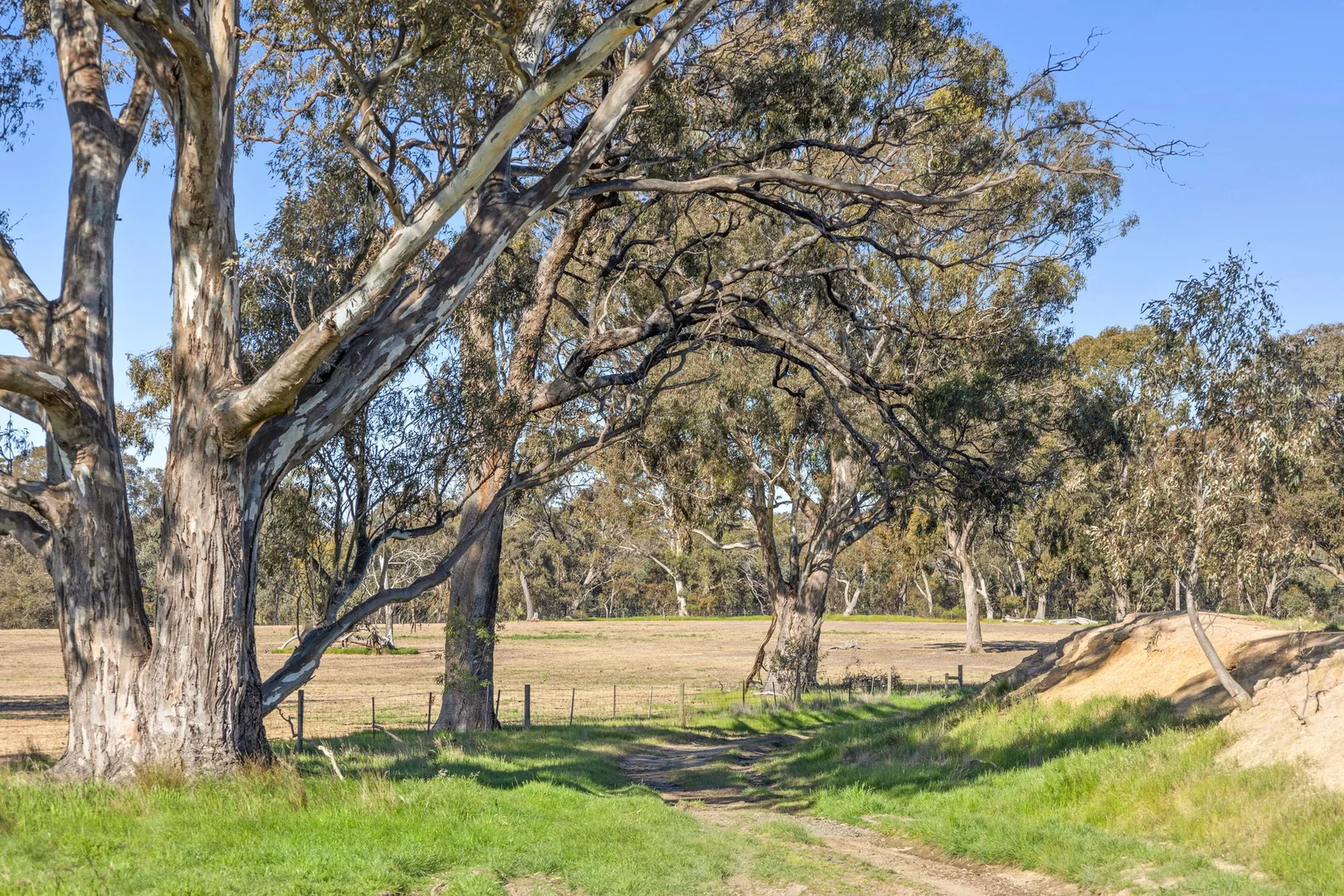 Additional image 12 of 189 Siddles Road, Redesdale VIC 3444