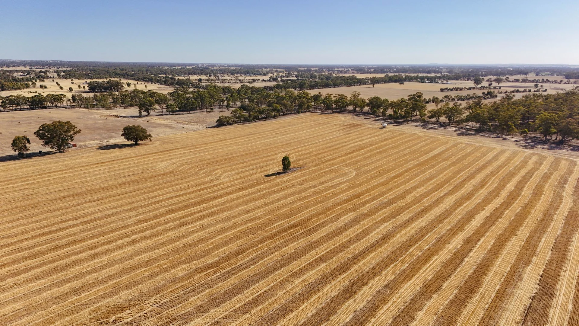 Additional image 7 of 99 Winzar Lane, Goornong VIC 3557