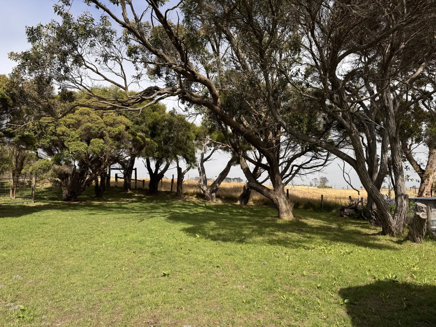 Additional image 8 of 33 Grevillia Street, Walkerville VIC 3956