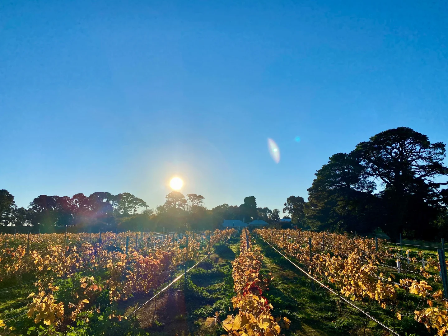 Additional image 8 of 136 Darlington-Carranballac Road, Darlington VIC 3271