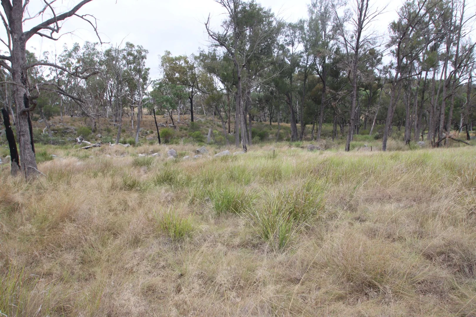 Additional image 27 of 1720C Bruxner Way, Tenterfield NSW 2372