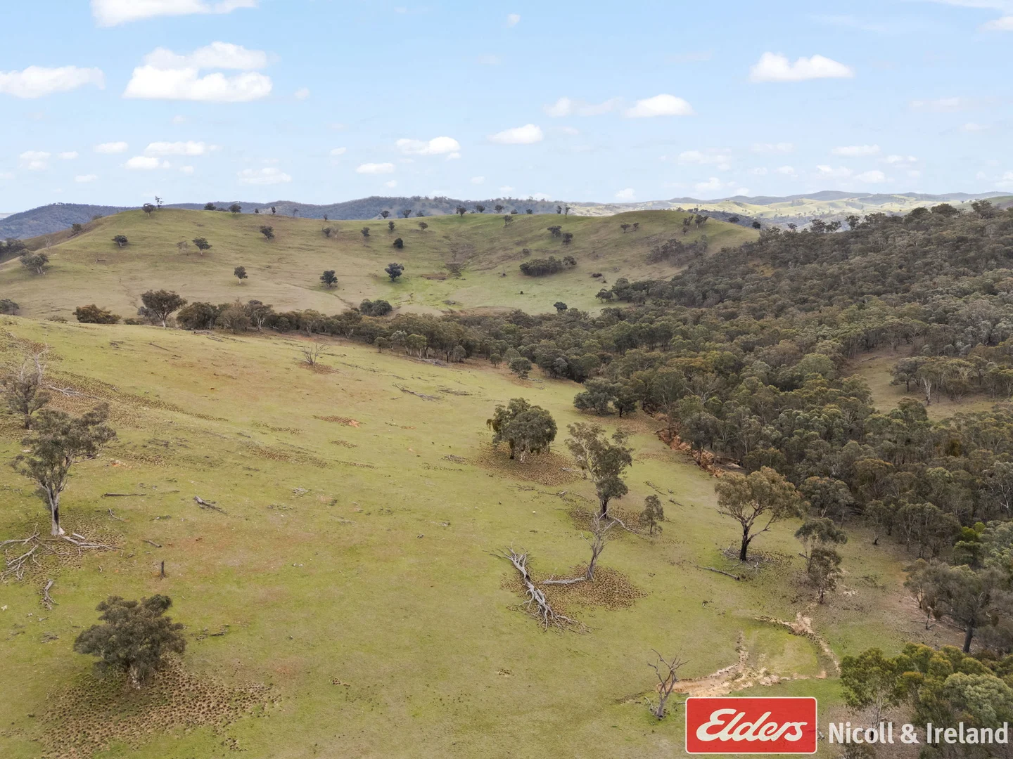 Additional image 2 of 6843 Goulburn Road, Abercrombie River NSW 2795