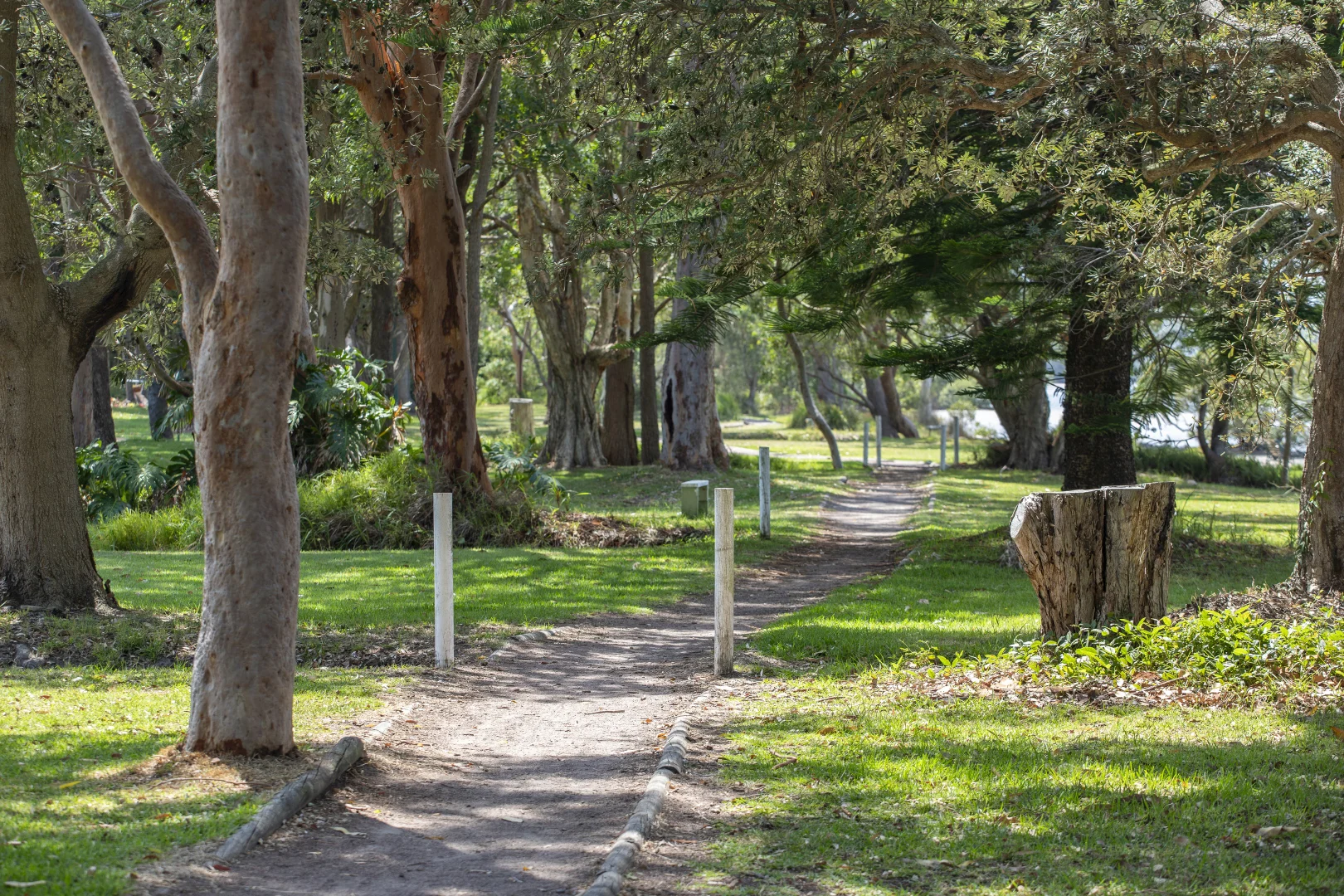 Additional image 24 of 9 Blanch Street, Lemon Tree Passage NSW 2319