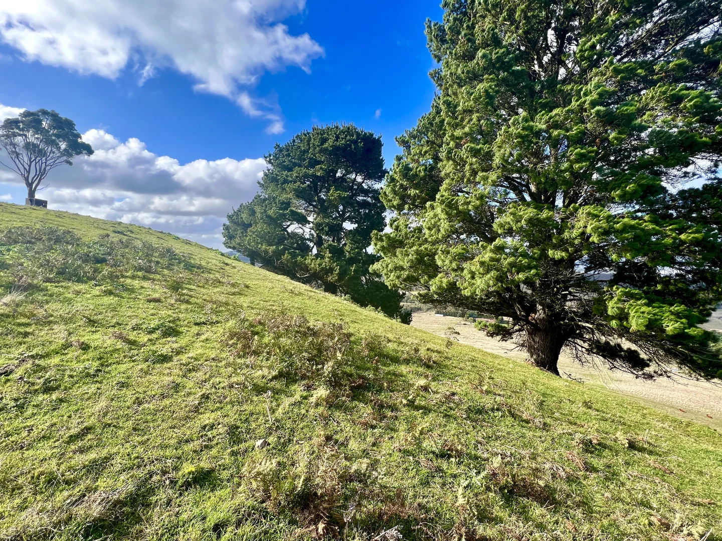 Additional image 26 of Red Gap Road/Fagans Lane, Goldie VIC 3435