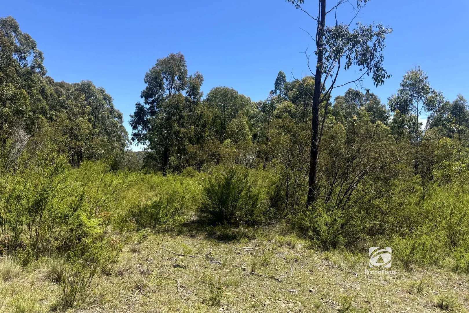 Additional image 12 of 139 Buchan South Road, Buchan South VIC 3885