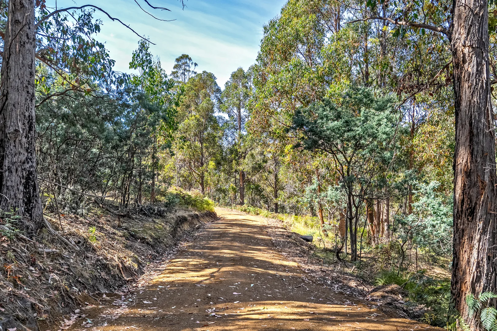 Additional image 41 of 1 Douglas Road, Molesworth TAS 7140