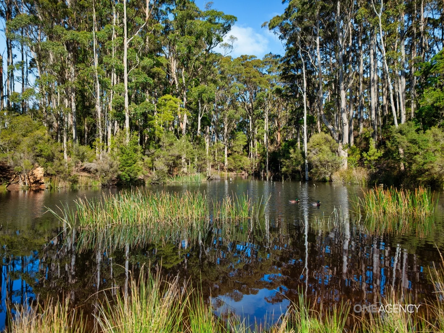 Additional image 10 of 206 Murrays Lane, South Forest TAS 7330