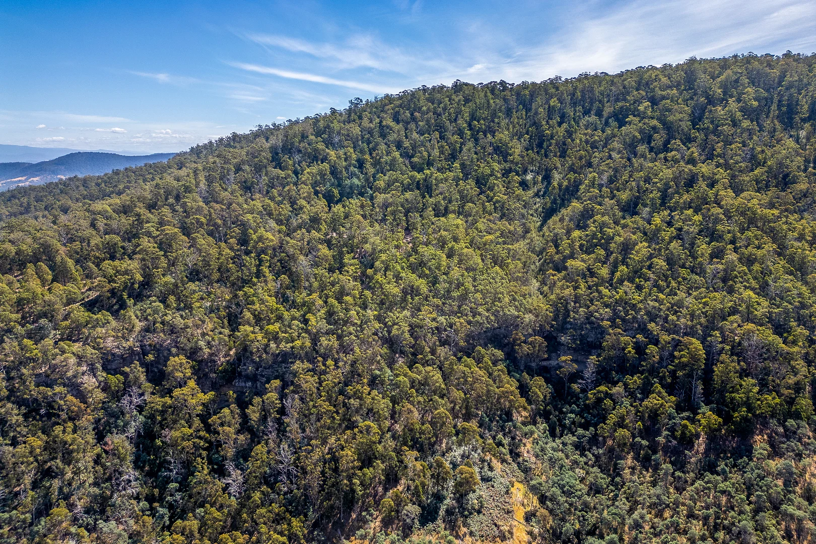 Additional image 8 of 1 Douglas Road, Molesworth TAS 7140