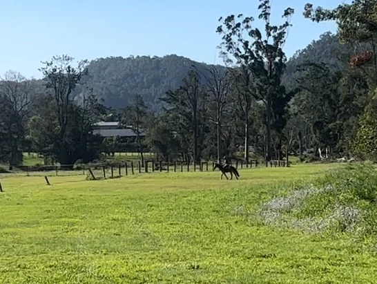 Additional image 25 of 29 Gladrose Crescent, Wongawallan QLD 4210