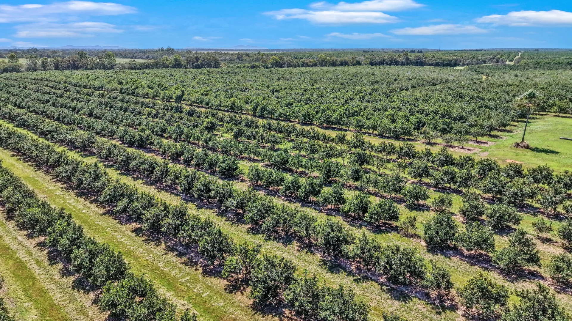 Additional image 10 of 195 Pashleys Road, Welcome Creek QLD 4670