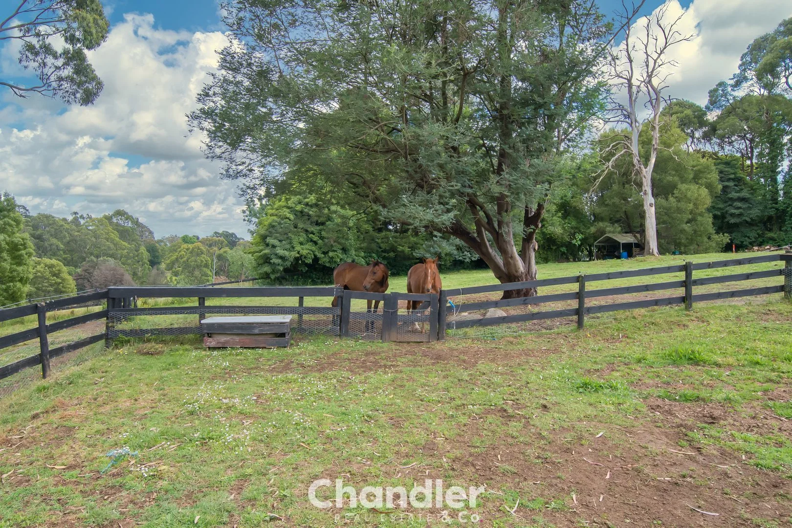 Additional image 14 of 9A Edenmont Road, Emerald VIC 3782