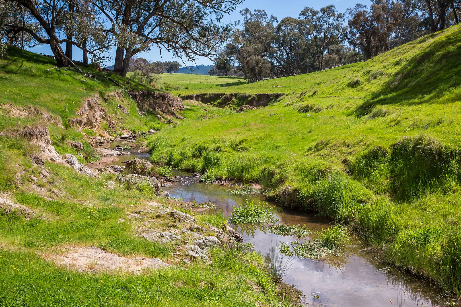Additional image 11 of Holbrook NSW 2644