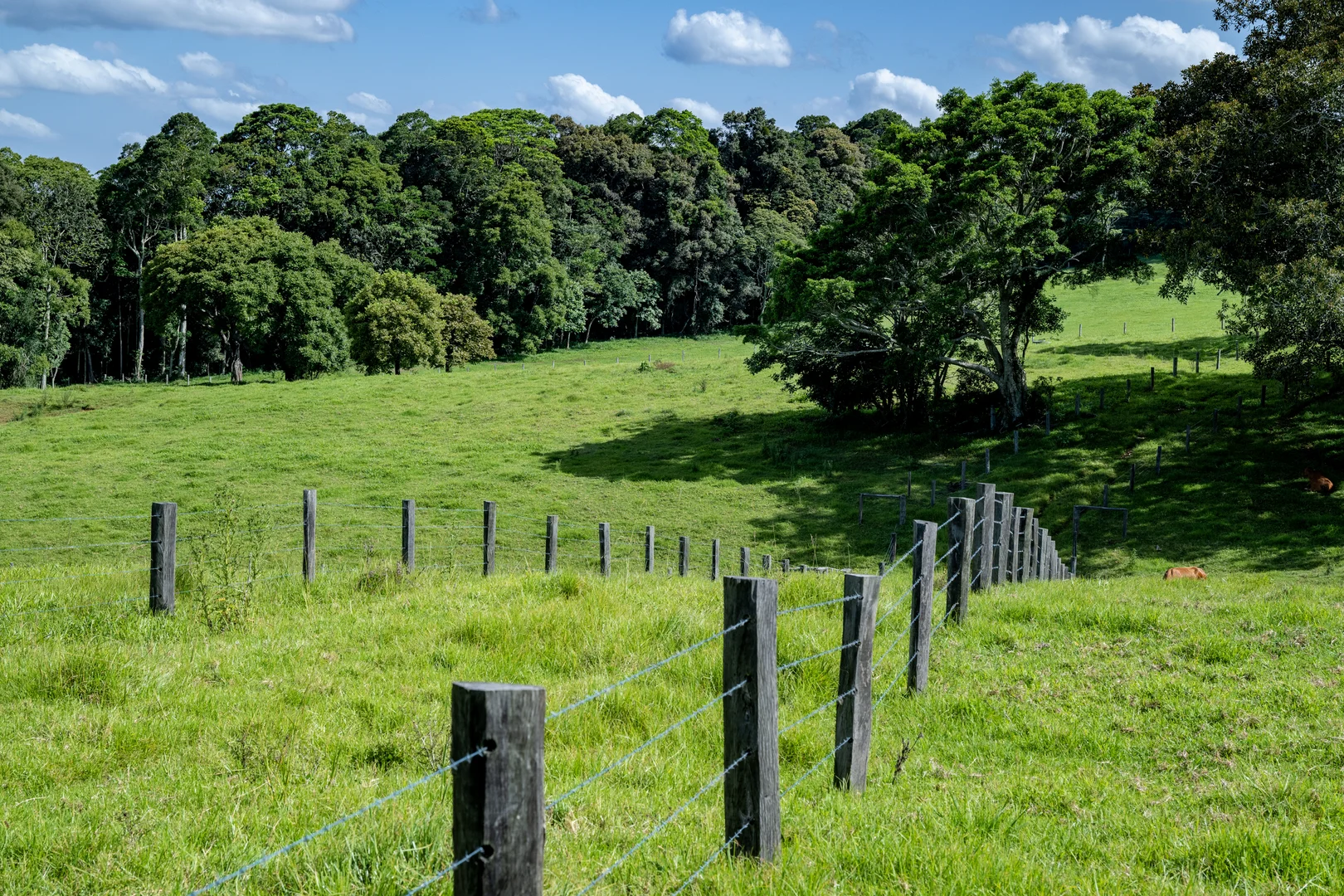 Additional image 9 of 491 Maleny-Stanley River Road, Wootha QLD 4552