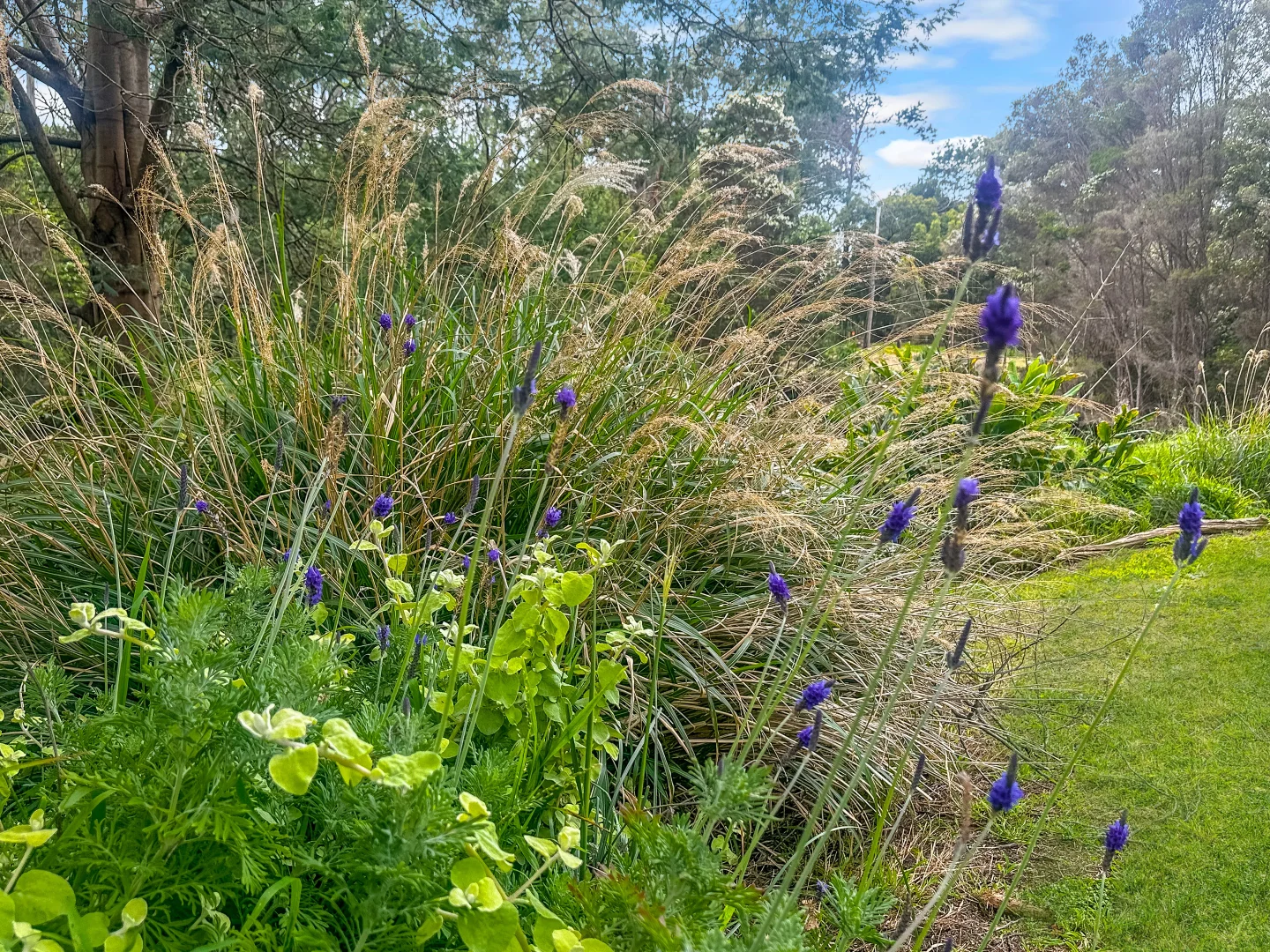 Additional image 13 of Lot 1 Binalong Bay Road, St Helens TAS 7216