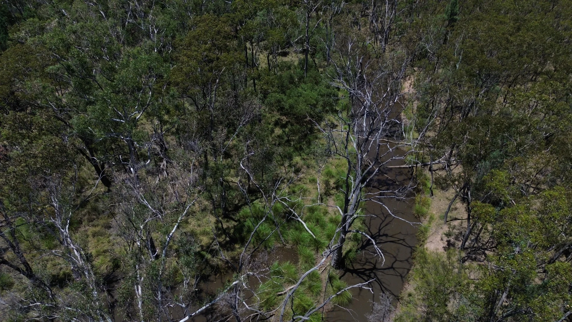 Additional image 12 of Lot 4 Chinchilla-Tara Rd, Wieambilla QLD 4413