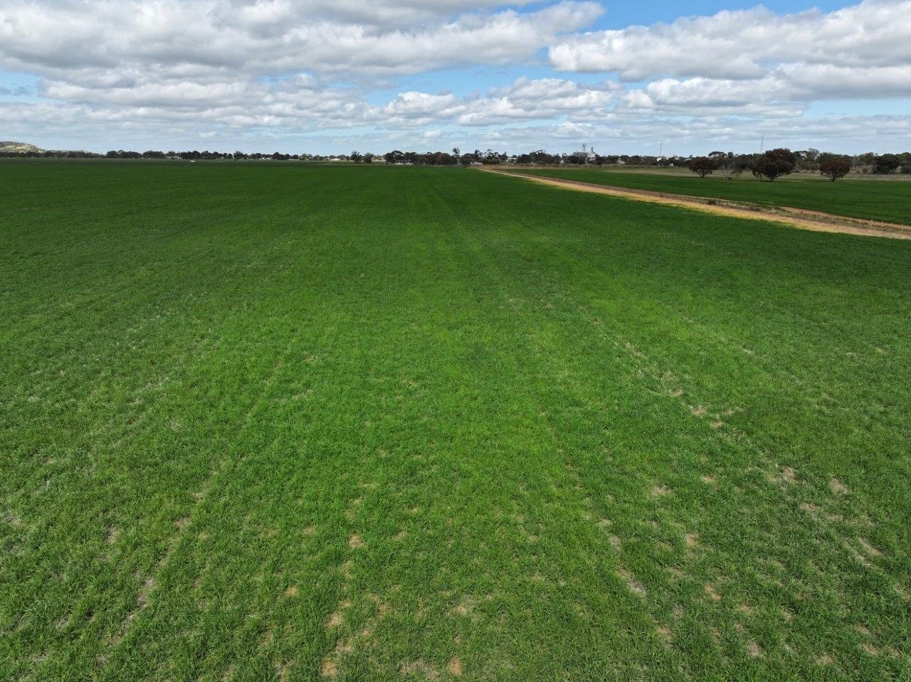 Additional image 11 of - Oneil Street, Pyramid Hill VIC 3575