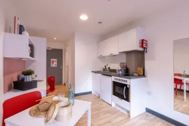 Bailey Street, Sheffield, South Yorkshire S1, Room to rent