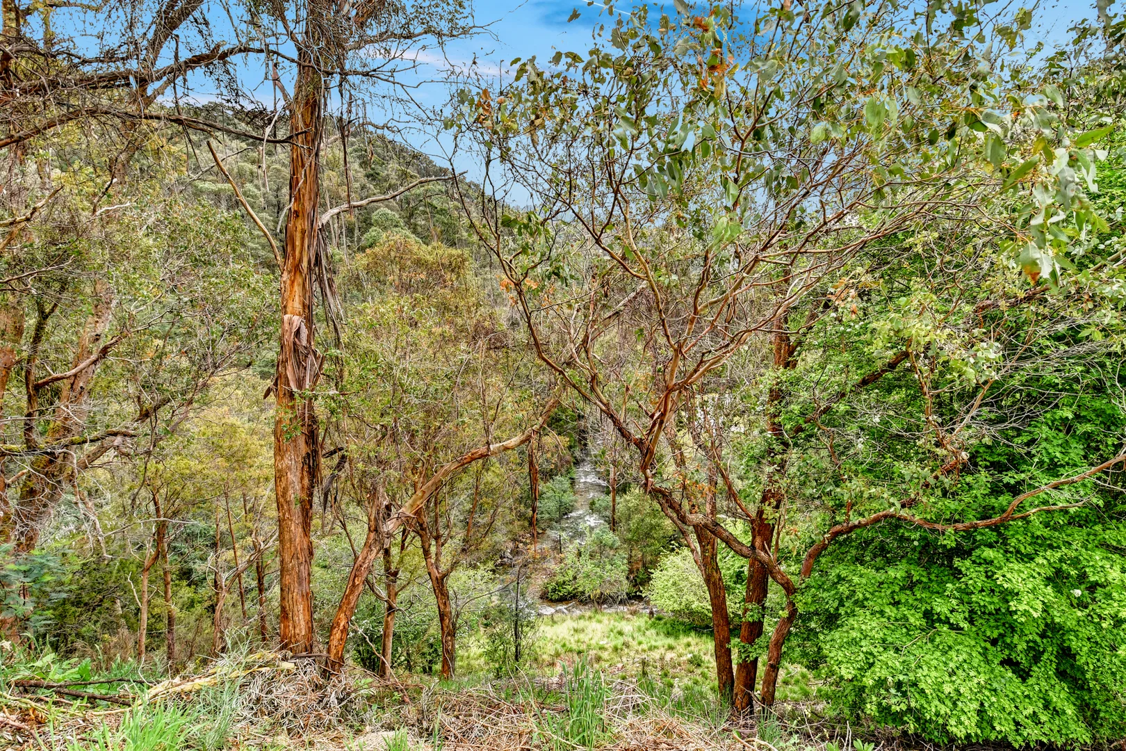 Additional image 22 of 7438 Mansfield-Woods Point Road, Gaffneys Creek VIC 3723