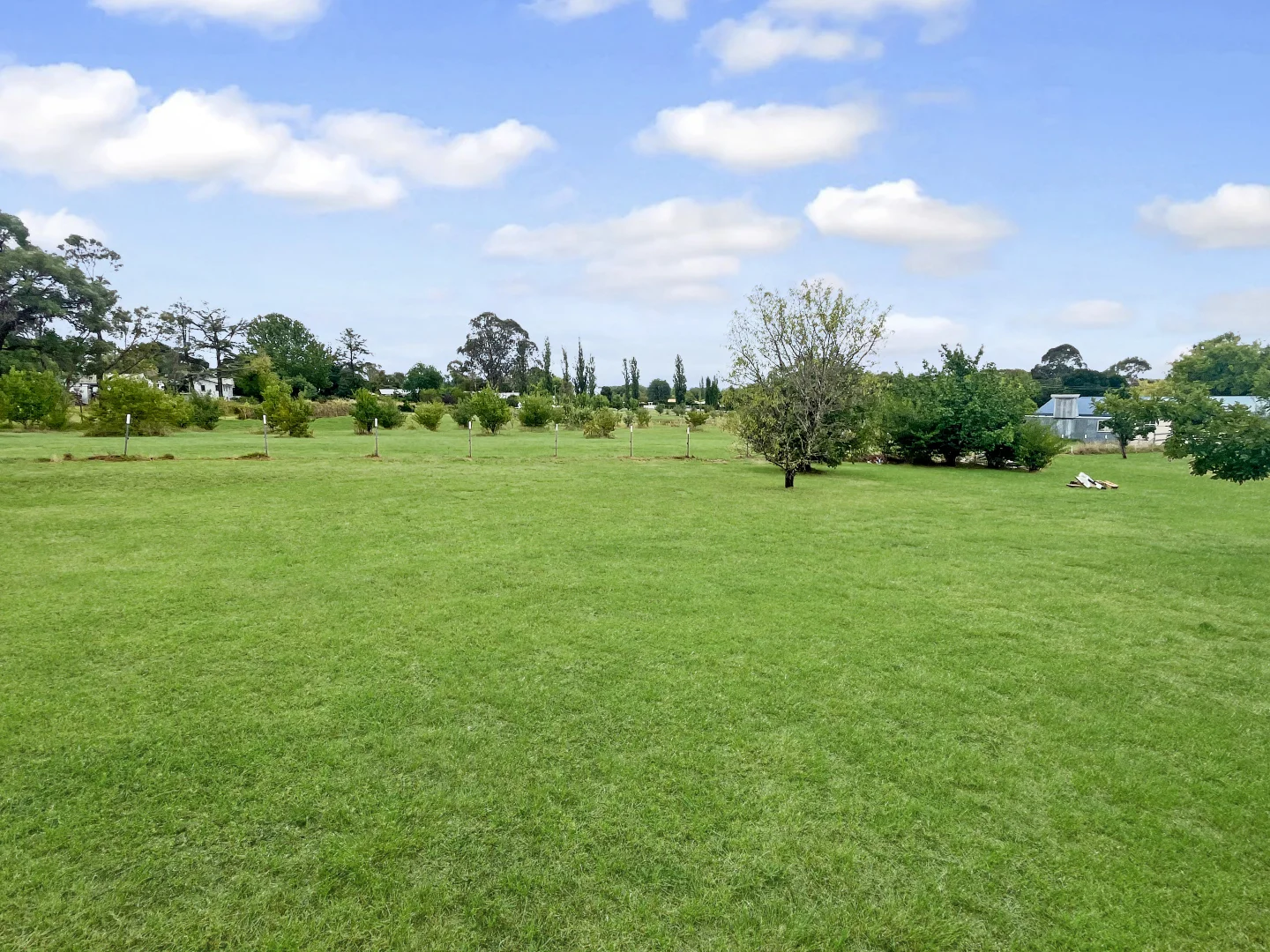 Additional image 8 of 70 Petre Street, Tenterfield NSW 2372