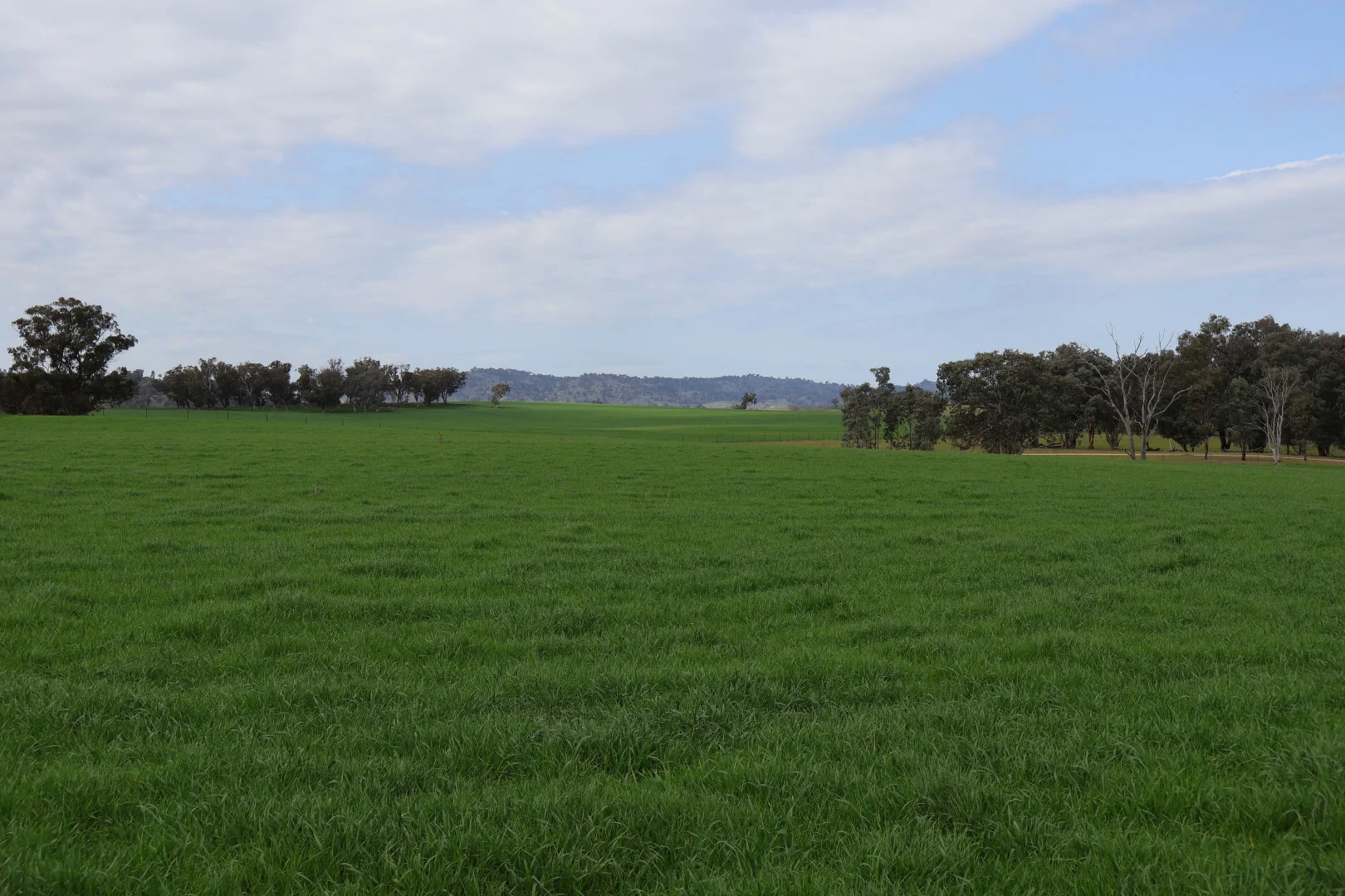 Additional image 13 of Dicksons, 0 Bennett Springs Road, Cowra NSW 2794