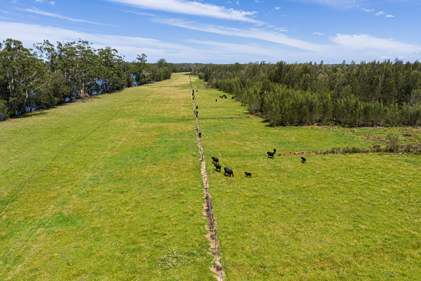 Additional image 8 of 4300 Pacific Highway, Middle Brother NSW 2443