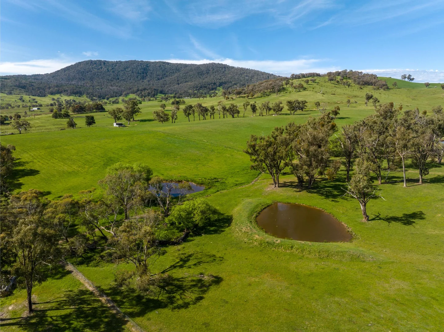 Additional image 17 of 589 Tooma Road, Tumbarumba NSW 2653