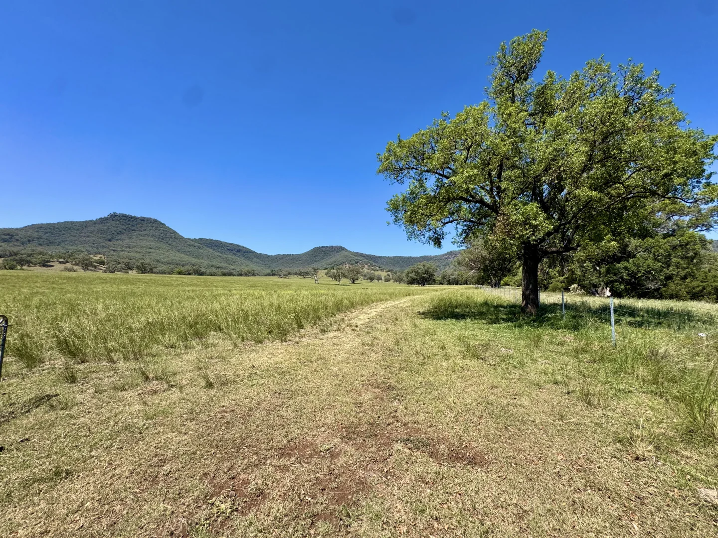 Additional image 27 of "Bindi" 1229 Bundella Creek Road Bundella Via, Quirindi NSW 2343