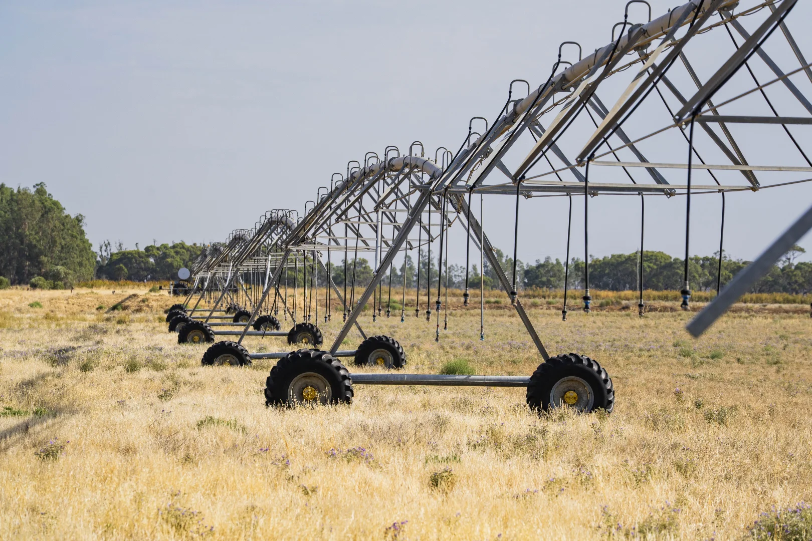 Additional image 5 of Murrami Road, Murrami NSW 2705