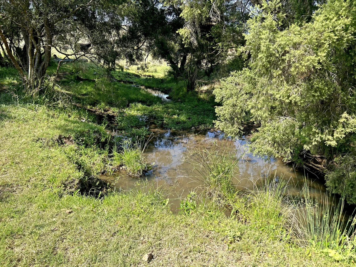 Additional image 13 of Riverview Road, Bingara NSW 2404