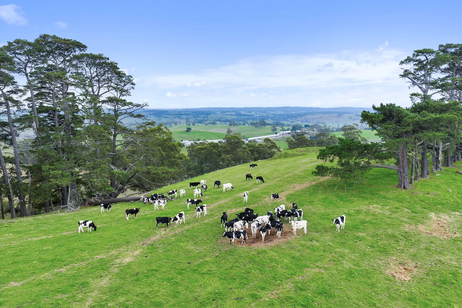 Additional image 8 of Lot 1-3 Mountain View-McDonalds Track, Mountain View VIC 3988