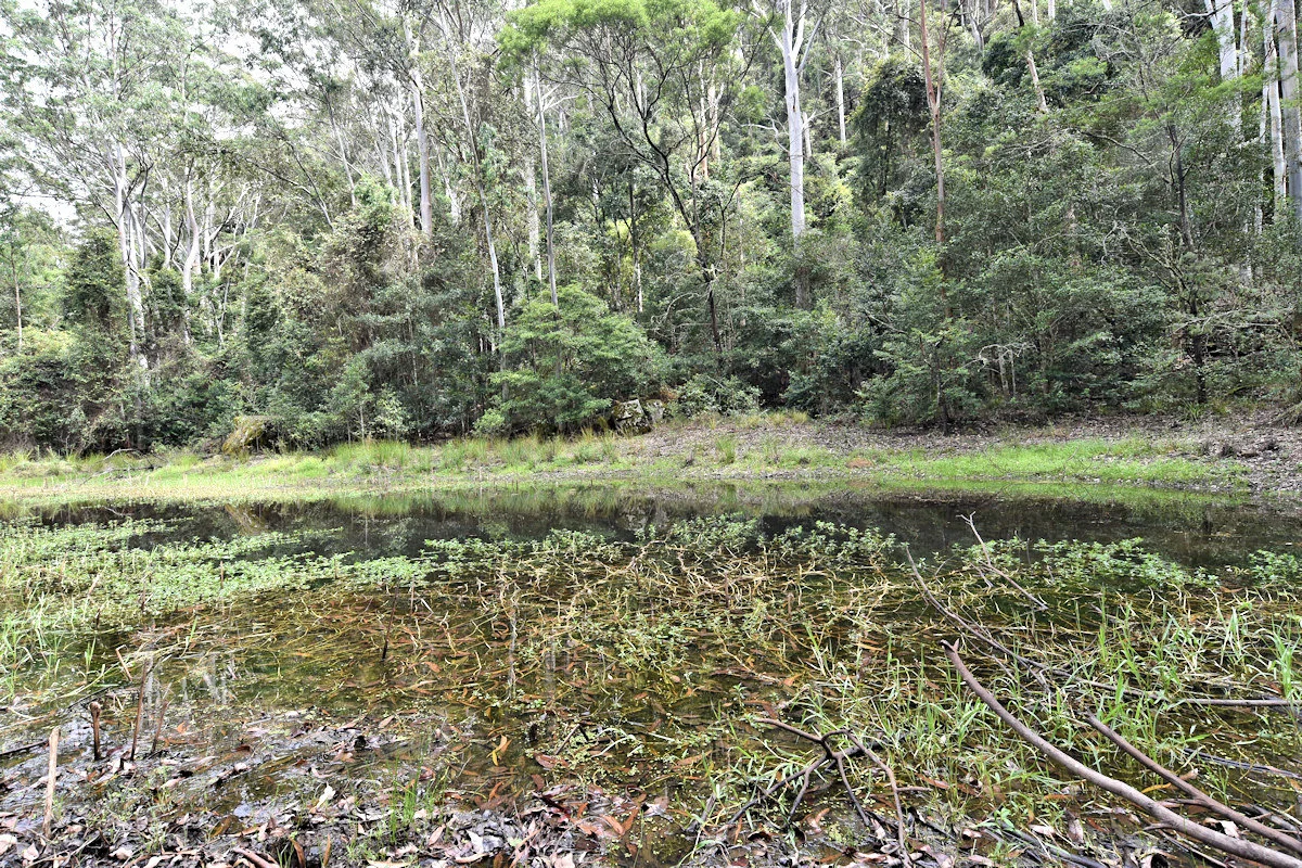 Additional image 5 of 1670 Watagan Creek Road, Watagan NSW 2325