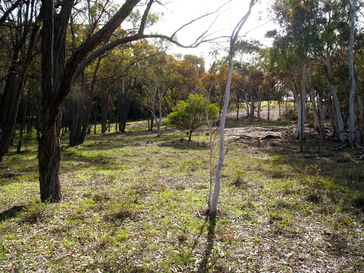 Additional image 18 of 198 Wurungul Lane, Gundaroo NSW 2620
