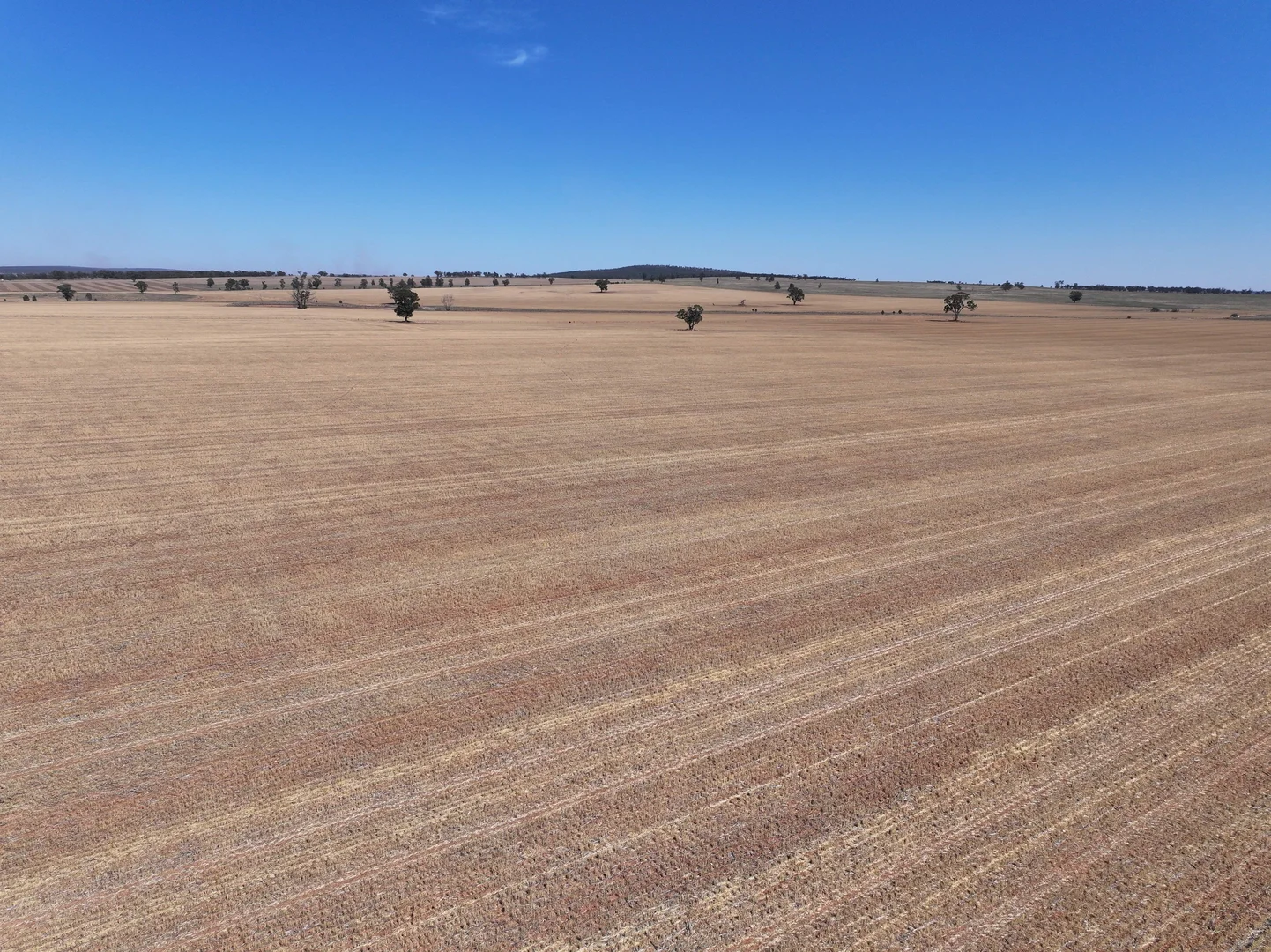 Additional image 4 of 'Nolens'  5000 Barellan Road, Colinroobie NSW 2700