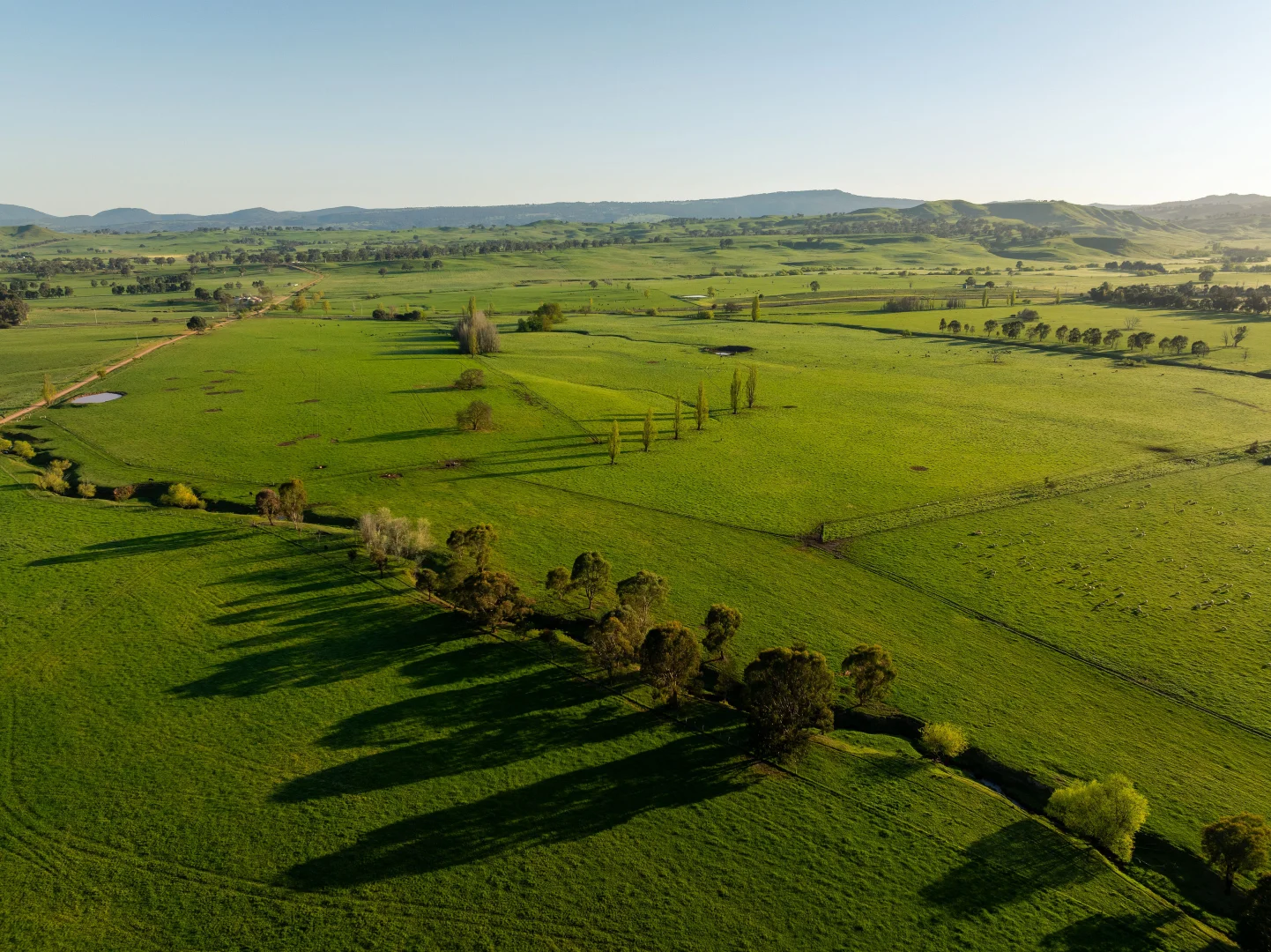 Additional image 3 of 95 Stoneys Road, Mansfield VIC 3722
