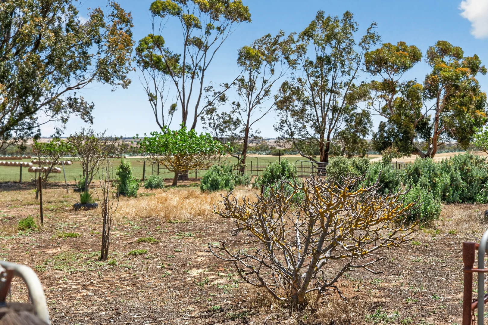 Additional image 53 of 775C North Bremer Road, Hartley SA 5255