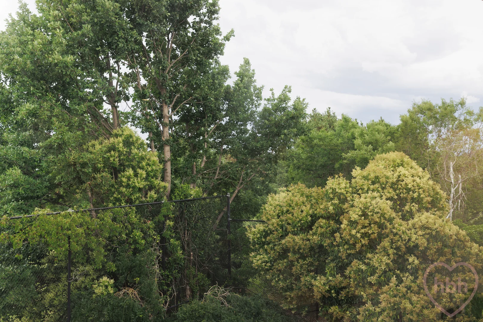 Additional image 37 of 70/44 Jerrabomberra Avenue, Narrabundah ACT 2604