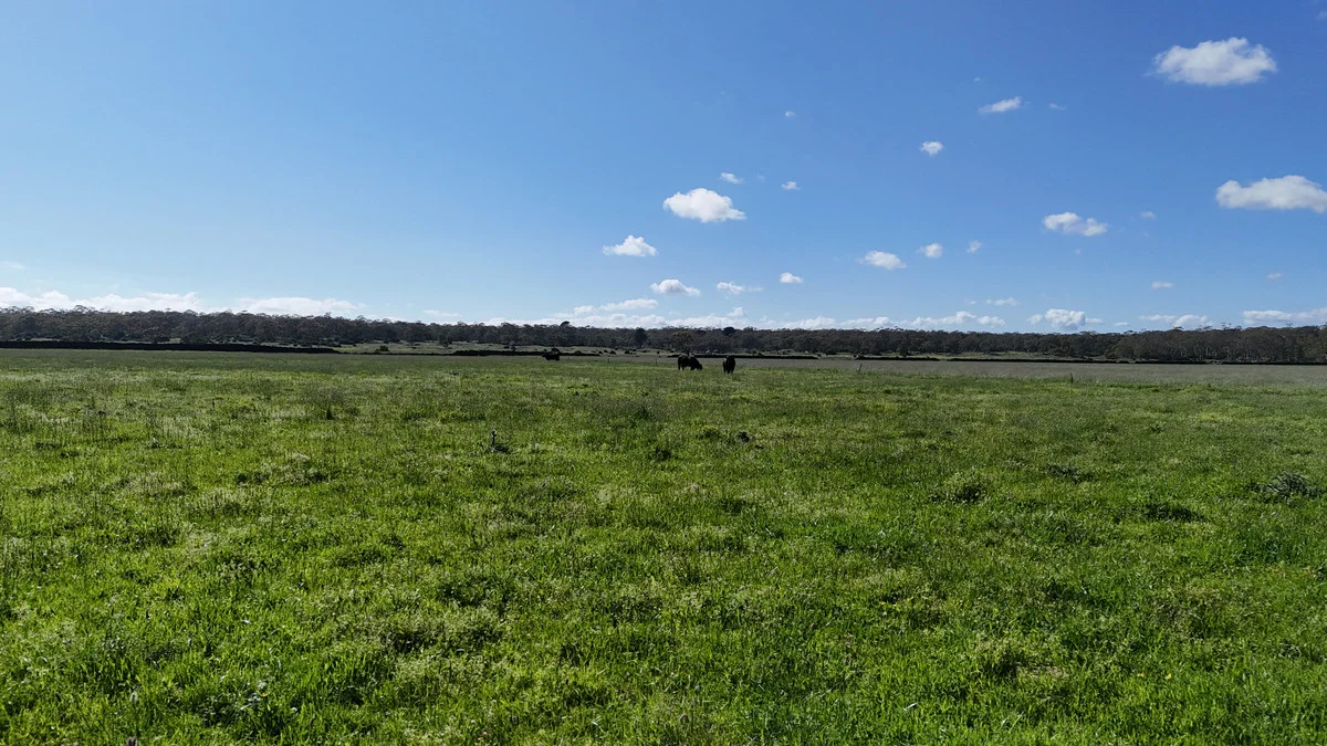 Additional image 21 of 61 Purrumbete Estate Road, Koallah VIC 3260